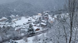 Piso Vivienda en Alquiler en Molina (la)