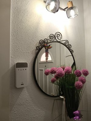 Casa Chalet Unifamiliar Adosada en Venta en Bruc (el)