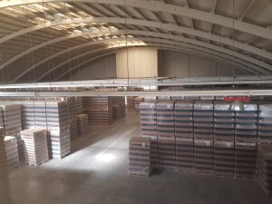 Nave Ind. Pareada en Venta/Alquiler en Martorell