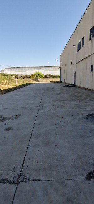 Nave Ind. Aislada en Alquiler en Castellbisbal