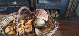 Piso Vivienda en Alquiler en Molina (la)