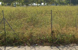 Terreno Industrial en Alquiler en Gava