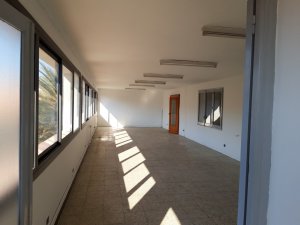 Nave Ind. Pareada en Venta/Alquiler en Martorell