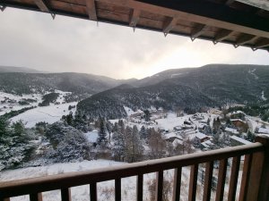 Piso Vivienda en Alquiler en Molina (la)