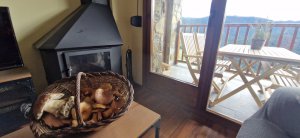 Piso Vivienda en Alquiler en Molina (la)