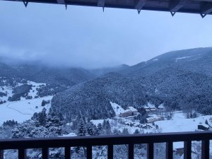 Piso Vivienda en Alquiler en Molina (la)