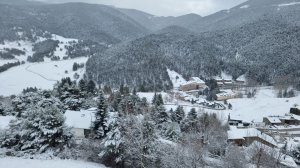 Piso Vivienda en Alquiler en Molina (la)