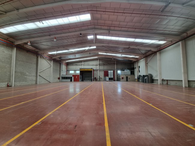 Nave Almacen en Venta/Alquiler en Sant Esteve Sesrovires